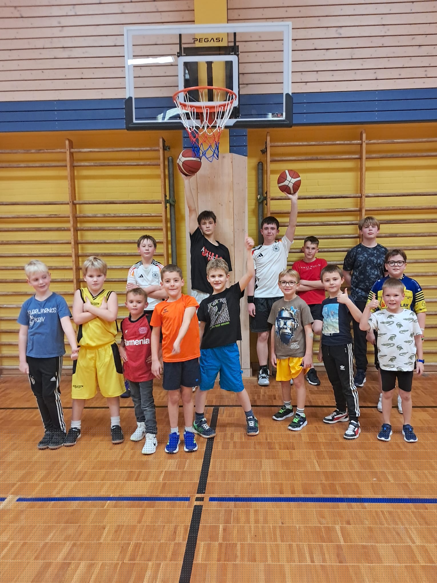 hohenverstellbarer Korb 3